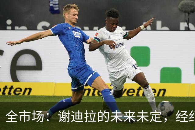 全市场：谢迪拉的未来未定，经纪人称阿莱格里会欣赏他