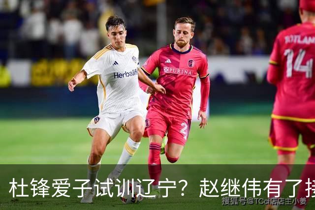 杜锋爱子试训辽宁？赵继伟有了接班人乐坏辽蜜 结果亲妈辟谣了